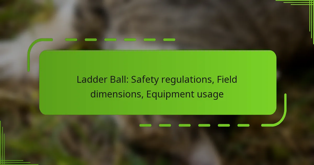 Ladder Ball: Safety regulations, Field dimensions, Equipment usage