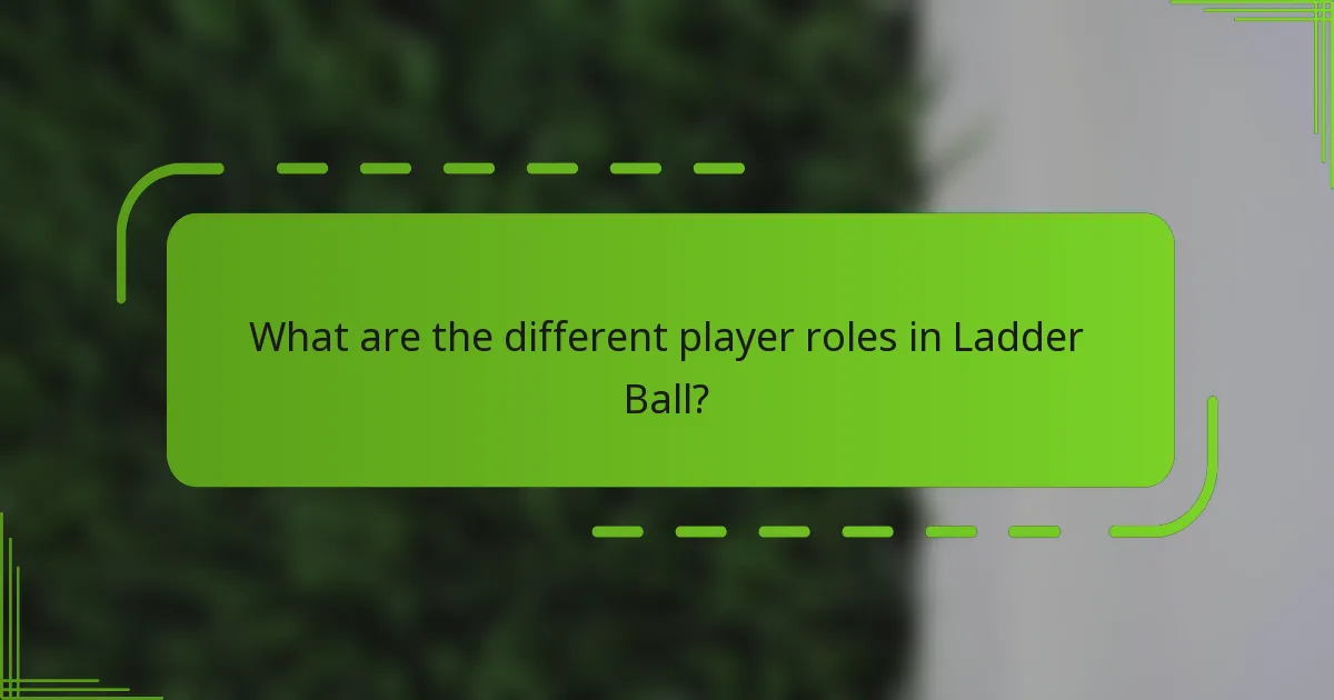 What are the different player roles in Ladder Ball?