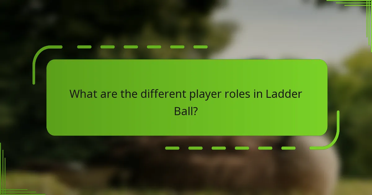What are the different player roles in Ladder Ball?